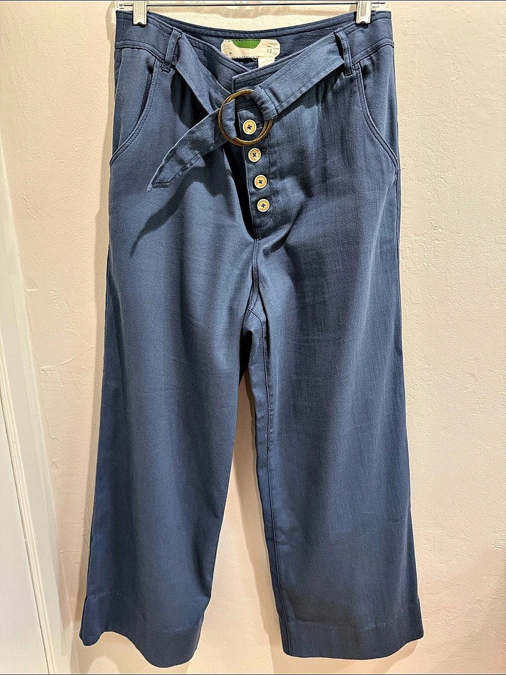 Anthropologie Cassidy button-fly belted Wide Leg Pants in Blue Size 12